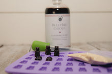 Load image into Gallery viewer, Organic "Make-Them-Yourself" Elderberry Gummies Kit